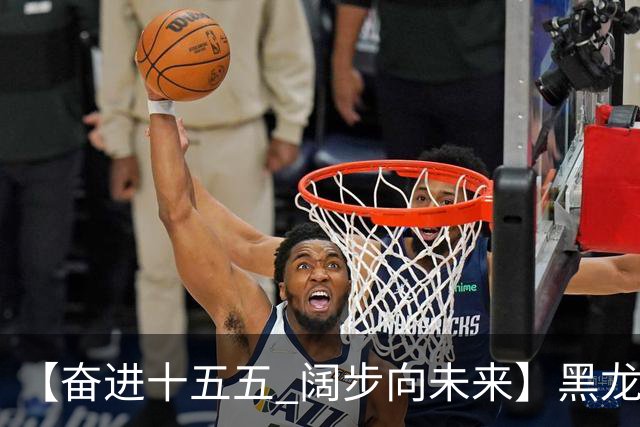 【奋进十五五 阔步向未来】黑龙江农机产业正加速迈向高端化智能化绿色化